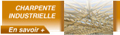 la charpente industrielle par SNOCI