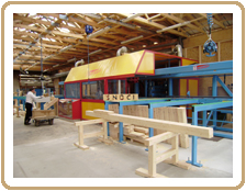 assemblage: chaque pi�ce de bois est assembl�e par pressage de plaques m�talliques embouties sur chaque noeud